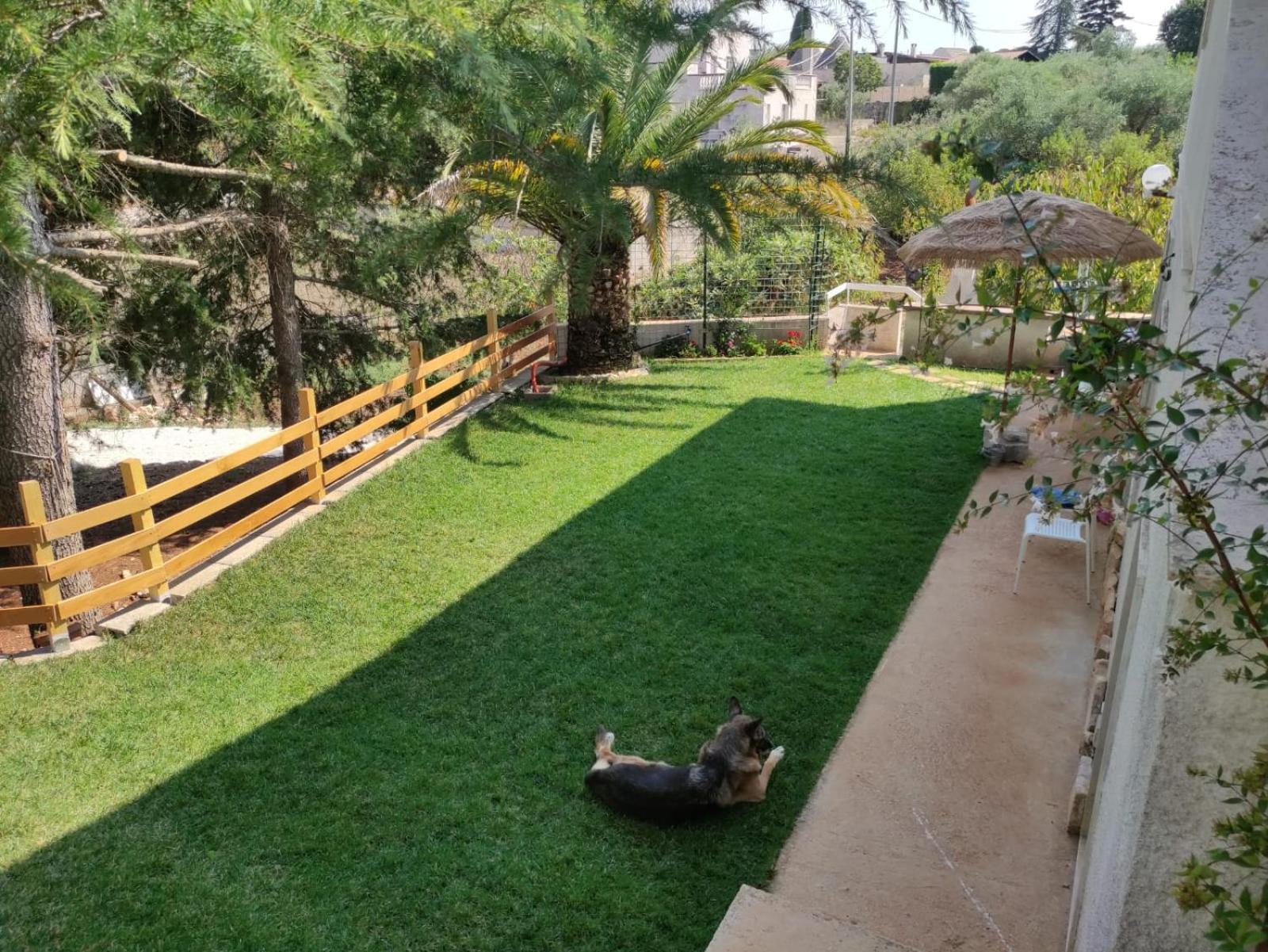 Dea Villa ปูติญญาโน ภายนอก รูปภาพ