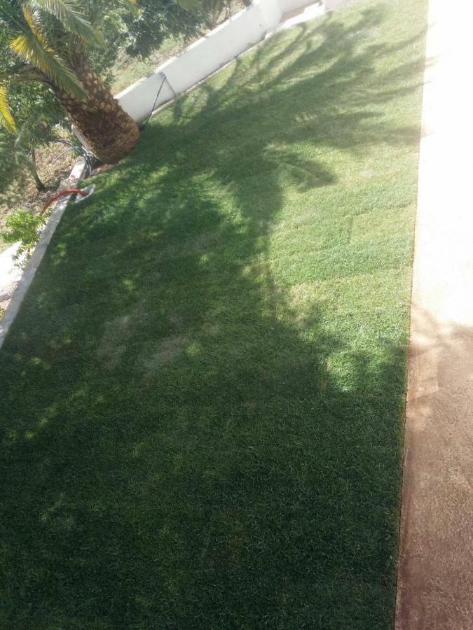 Dea Villa ปูติญญาโน ภายนอก รูปภาพ
